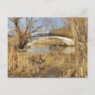 Carte Postale Elizabeth Park, Trenton, Michigan