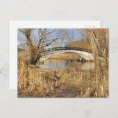 Carte Postale Elizabeth Park, Trenton, Michigan (Devant / Derrière)