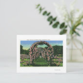Carte Postale Elizabeth Park Vue des arches Roses (Debout devant)