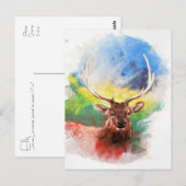 Carte Postale Elk (Devant / Derrière)