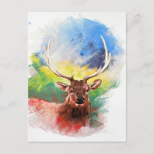 Carte Postale Elk (Devant)