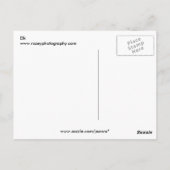 Carte Postale Elk (Dos)