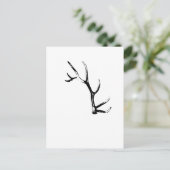 Carte Postale Elk Antler (Debout devant)