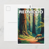 Carte Postale Elk at Redwood National Park (Devant / Derrière)