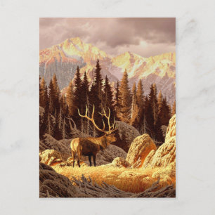 Carte Postale Elk Bull
