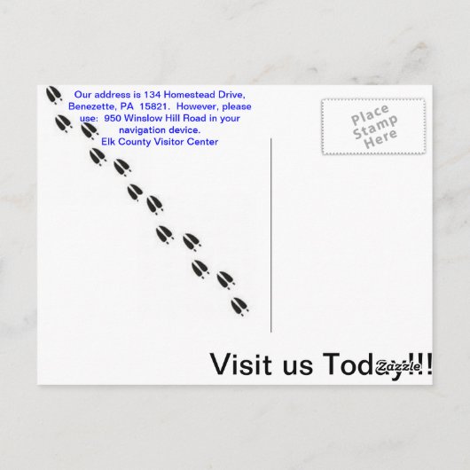 Carte Postale Elk Comté Benezette PA (Dos)