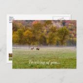 Carte postale Elk couple qui pense à vous (Devant / Derrière)