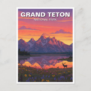 Carte Postale Elk dans le parc national de Grand Teton