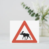 Carte Postale Elk norvégien (Debout devant)