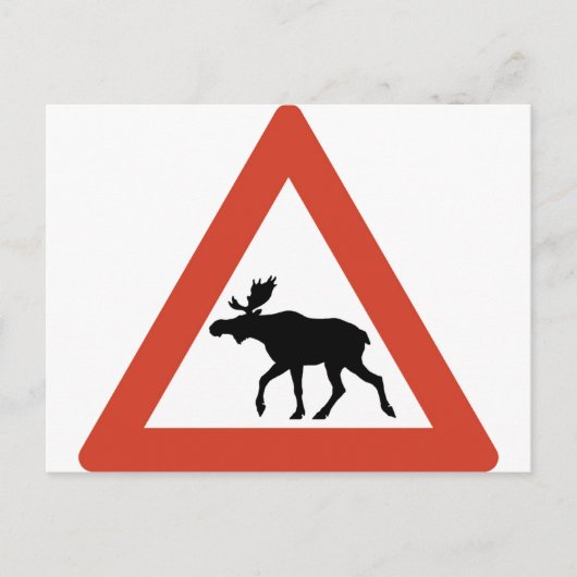 Carte Postale Elk norvégien (Devant)