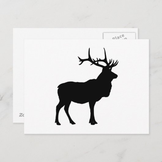 Carte Postale Elk Silhouette (Devant / Derrière)