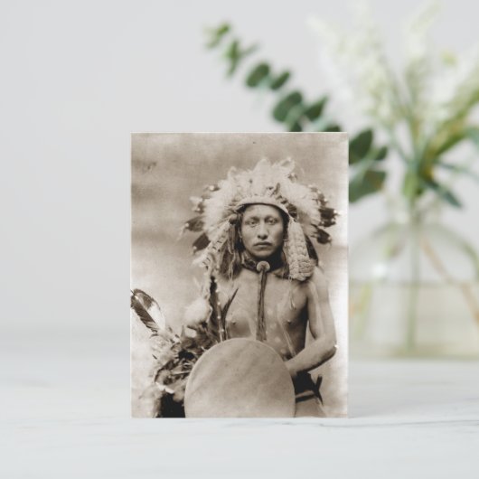 Carte Postale Elk solitaire (Debout devant)