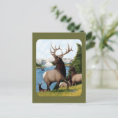 Carte Postale Elk Wapiti (Debout devant)