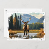 Carte postale Elk Yellowstone (Devant / Derrière)