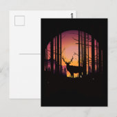 Carte Postale Elks (Devant / Derrière)