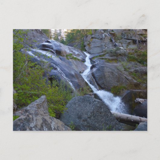 Carte Postale Ella Falls dans le parc national de Sequoia (Devant)