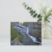 Carte Postale Ella Falls dans le parc national de Sequoia (Debout devant)
