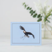 Carte Postale Elle A Un Bâton (Debout devant)