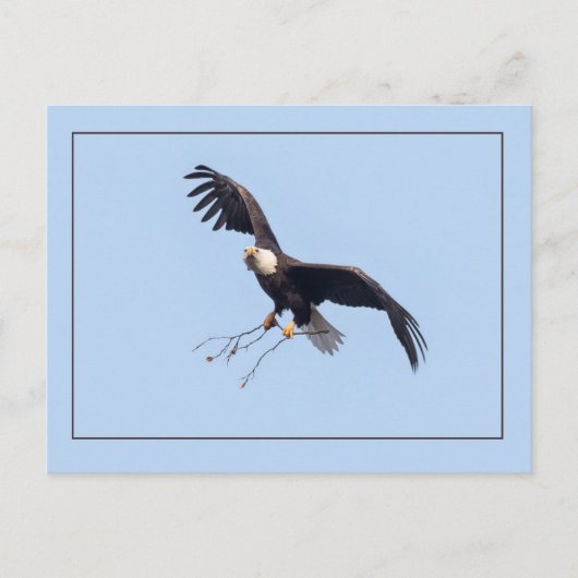 Carte Postale Elle A Un Bâton (Devant)