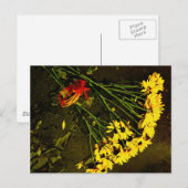 Carte Postale Elle Ne M'Aime PAS ! (Devant / Derrière)