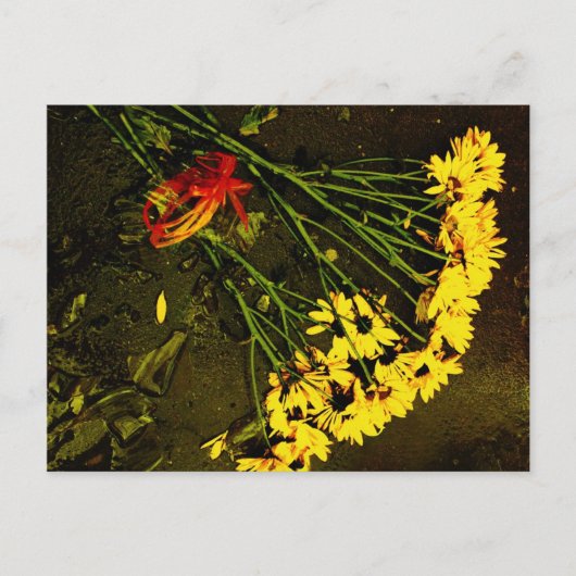 Carte Postale Elle Ne M'Aime PAS ! (Devant)