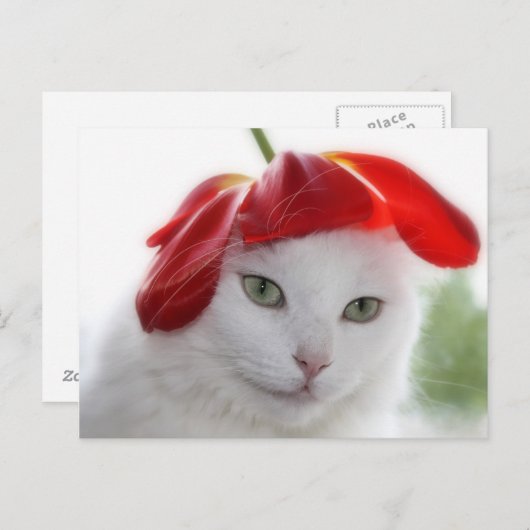 Carte Postale Elle portait un Casquette en forme de Tulipe (Devant / Derrière)