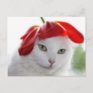 Carte Postale Elle portait un Casquette en forme de Tulipe