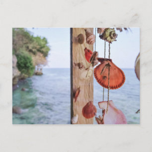 Carte Postale Elle Vend Des Coques De Mer