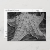 Carte Postale Elle vend des coquillages au bord de la mer (Devant / Derrière)