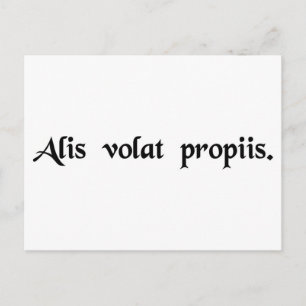 Carte Postale Elle vole avec ses propres ailes