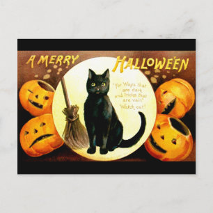Carte Postale Ellen H. Clapsaddle : Chat d'Halloween