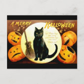 Carte Postale Ellen H. Clapsaddle : Chat d'Halloween (Devant)