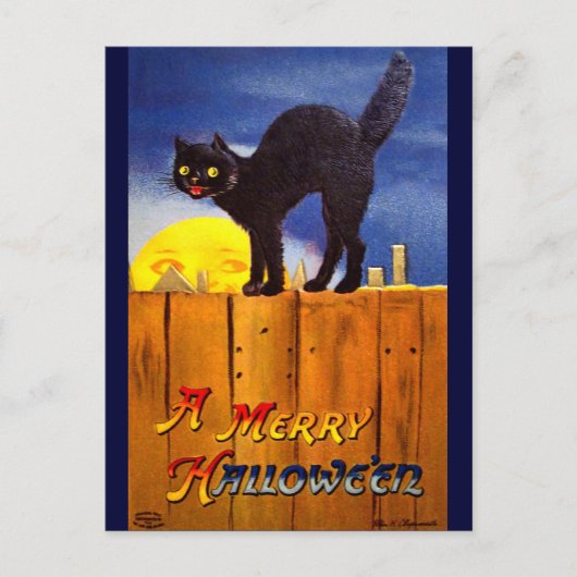 Carte Postale Ellen H. Clapsaddle : Chat noir sur une clôture (Devant)