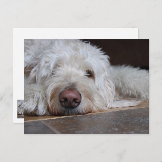 Carte Postale Elliot (Devant / Derrière)