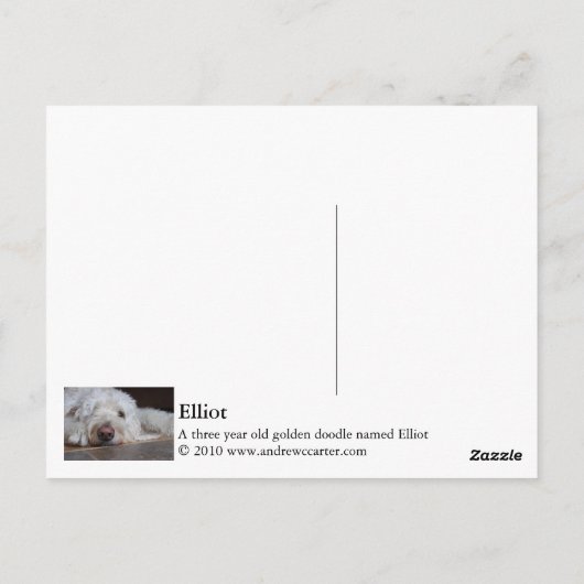 Carte Postale Elliot (Dos)