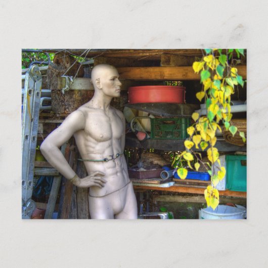 Carte Postale Ellis Garden III (Devant)