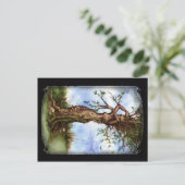 Carte Postale Elm Maid (Debout devant)