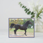 Carte Postale Elmhurst - Lauréat de la Coupe '97 Breeders' (Debout devant)