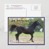 Carte Postale Elmhurst - Lauréat de la Coupe '97 Breeders' (Devant / Derrière)