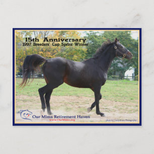 Carte Postale Elmhurst - Lauréat de la Coupe '97 Breeders'