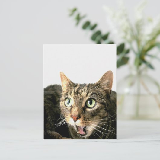 Carte Postale Elvis (Debout devant)