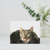 Carte Postale Elvis (Debout devant)