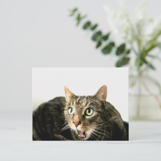 Carte Postale Elvis (Debout devant)