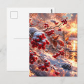 Carte Postale Embers of Winter Red Berries Snow (Devant / Derrière)