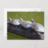 Carte Postale Embouteillage (Devant / Derrière)