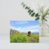 Carte Postale Embouteillage, Ile d'Iona (Debout devant)