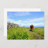 Carte Postale Embouteillage, Ile d'Iona (Devant / Derrière)