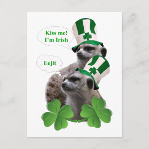 Carte Postale Embrasse-moi Je suis un meerkat design irlandais