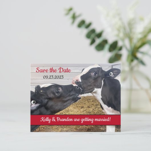 Carte Postale Embrasser les veaux Mariage Enregistrer la date (Debout devant)