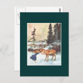 Carte Postale Embrasser un renne (Devant / Derrière)